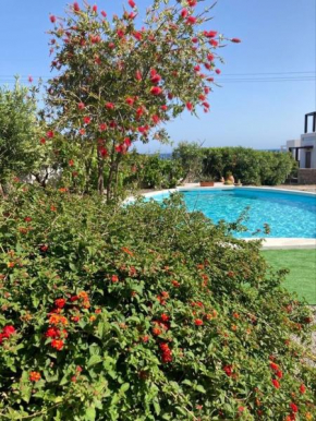 Villa Nastazia